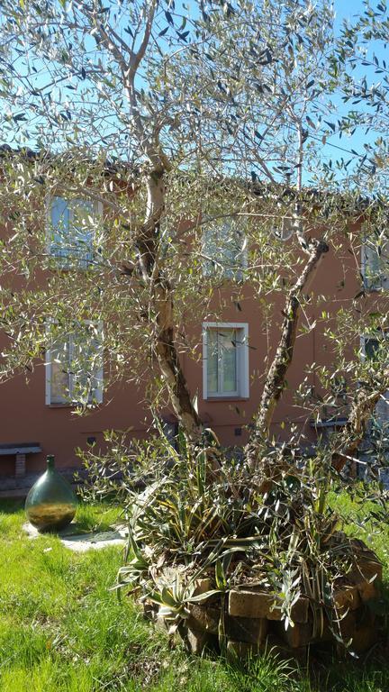 הוילה Querce  Ulivo Della Querce מראה חיצוני תמונה